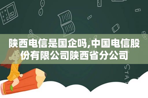 陕西电信是国企吗,中国电信股份有限公司陕西省分公司  第1张