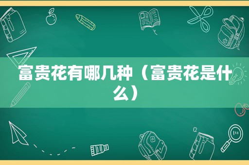 富贵花有哪几种（富贵花是什么）