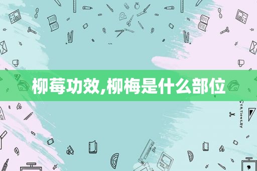 柳莓功效,柳梅是什么部位  第1张