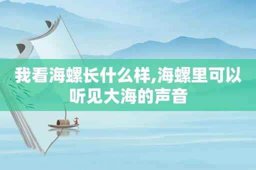 我看海螺长什么样,海螺里可以听见大海的声音