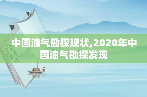 中国油气勘探现状,2020年中国油气勘探发现