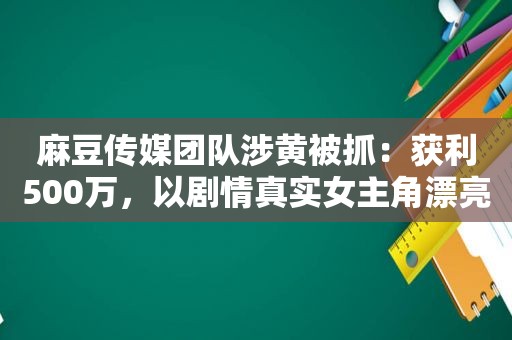  *** 传媒团队涉黄被抓：获利500万，以剧情真实女主角漂亮著称