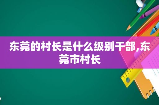 东莞的村长是什么级别干部,东莞市村长  第1张