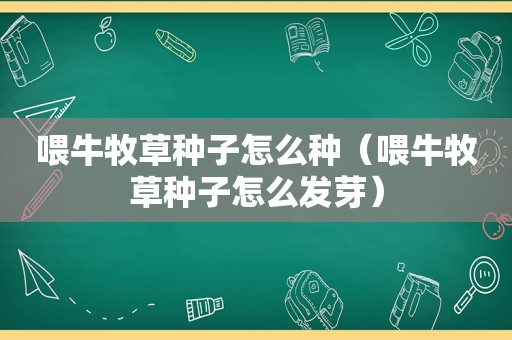 喂牛牧草种子怎么种（喂牛牧草种子怎么发芽）