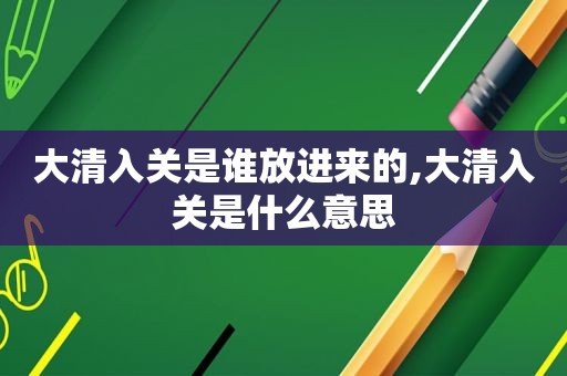 大清入关是谁放进来的,大清入关是什么意思