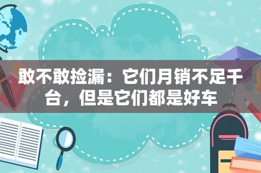 敢不敢捡漏：它们月销不足千台，但是它们都是好车  第1张