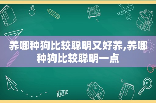 养哪种狗比较聪明又好养,养哪种狗比较聪明一点