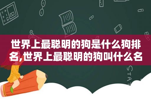 世界上最聪明的狗是什么狗排名,世界上最聪明的狗叫什么名字