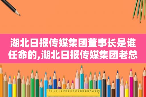 湖北日报传媒集团董事长是谁任命的,湖北日报传媒集团老总