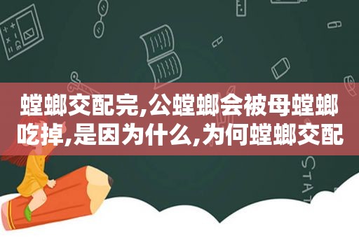 螳螂交配完,公螳螂会被母螳螂吃掉,是因为什么,为何螳螂交配过后公螳螂会被吃掉