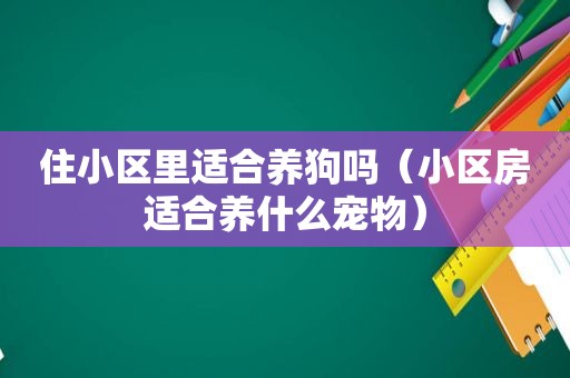 住小区里适合养狗吗（小区房适合养什么宠物）  第1张