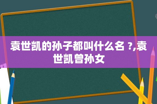 袁世凯的孙子都叫什么名 ?,袁世凯曾孙女