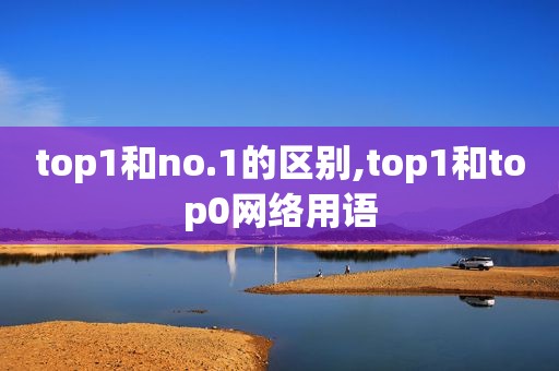 top1和no.1的区别,top1和top0网络用语