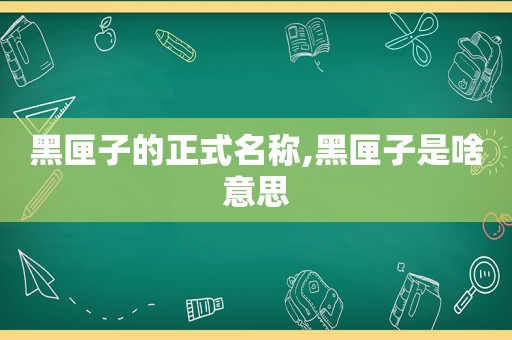 黑匣子的正式名称,黑匣子是啥意思