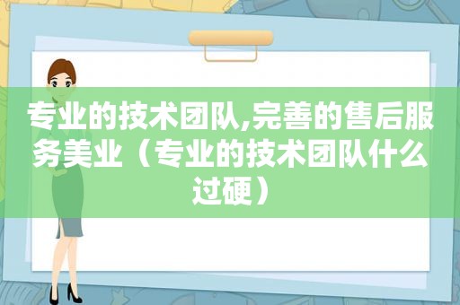 专业的技术团队,完善的售后服务美业（专业的技术团队什么过硬）