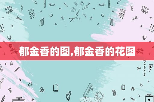 郁金香的图,郁金香的花图  第1张