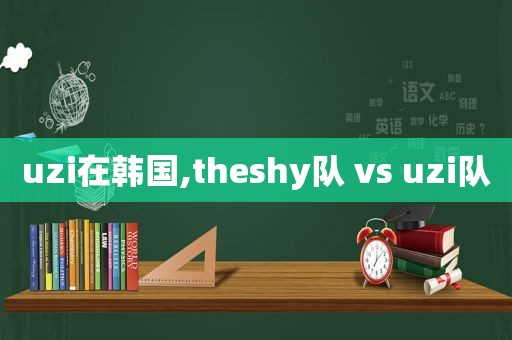 uzi在韩国,theshy队 vs uzi队