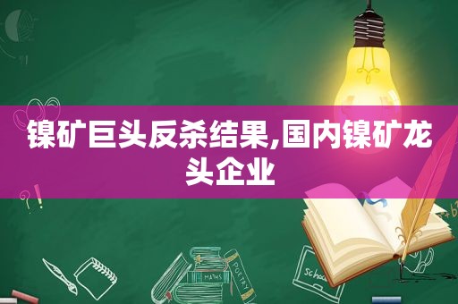 镍矿巨头反杀结果,国内镍矿龙头企业