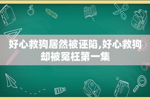 好心救狗居然被诬陷,好心救狗却被冤枉第一集  第1张