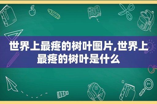 世界上最疼的树叶图片,世界上最疼的树叶是什么