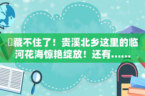 ​藏不住了！贵溪北乡这里的临河花海惊艳绽放！还有……