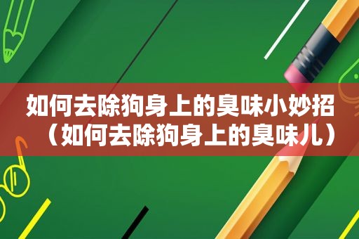 如何去除狗身上的臭味小妙招（如何去除狗身上的臭味儿）