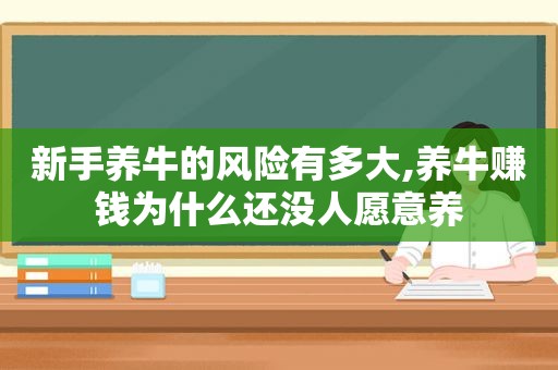 新手养牛的风险有多大,养牛赚钱为什么还没人愿意养