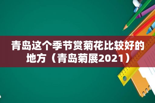 青岛这个季节赏菊花比较好的地方（青岛菊展2021）