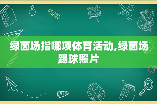 绿茵场指哪项体育活动,绿茵场踢球照片