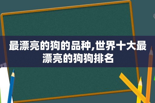 最漂亮的狗的品种,世界十大最漂亮的狗狗排名