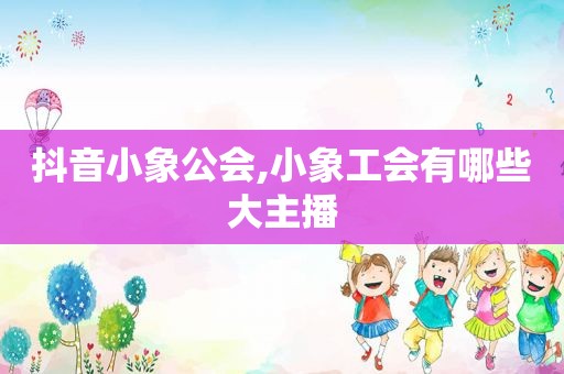 抖音小象公会,小象工会有哪些大主播