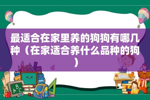 最适合在家里养的狗狗有哪几种（在家适合养什么品种的狗）