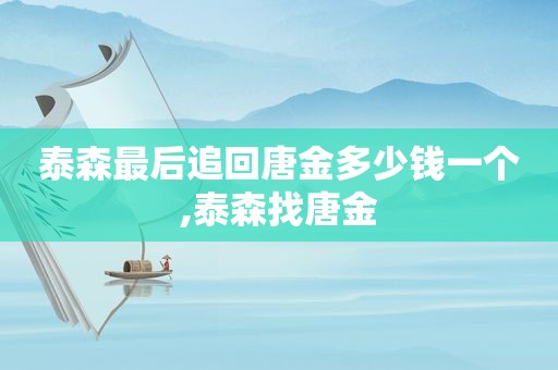 泰森最后追回唐金多少钱一个,泰森找唐金