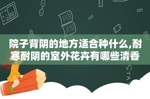 院子背阴的地方适合种什么,耐寒耐阴的室外花卉有哪些清香木