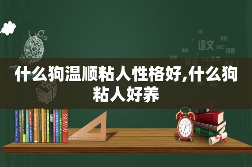 什么狗温顺粘人性格好,什么狗粘人好养