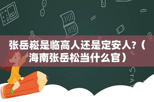 张岳崧是临高人还是定安人?（海南张岳松当什么官）