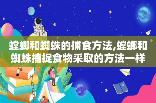 螳螂和蜘蛛的捕食方法,螳螂和蜘蛛捕捉食物采取的方法一样都是什么