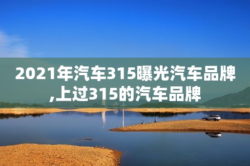 2021年汽车315曝光汽车品牌,上过315的汽车品牌