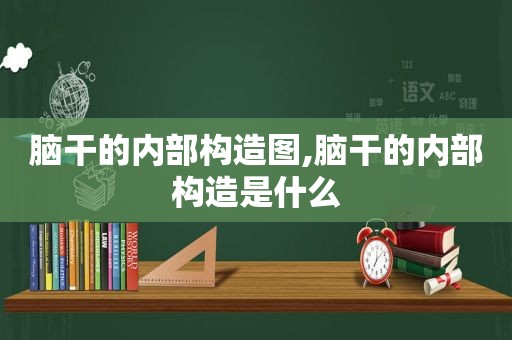 脑干的内部构造图,脑干的内部构造是什么