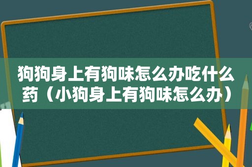 狗狗身上有狗味怎么办吃什么药（小狗身上有狗味怎么办）