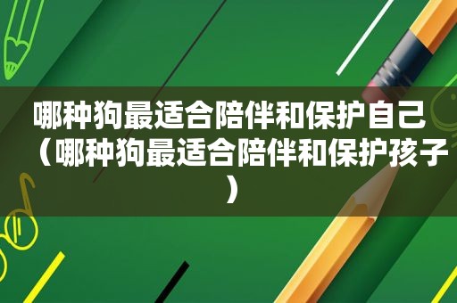 哪种狗最适合陪伴和保护自己（哪种狗最适合陪伴和保护孩子）