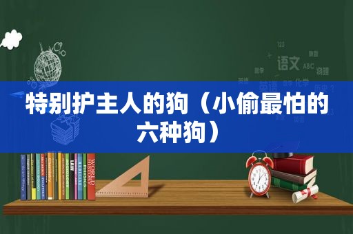 特别护主人的狗（小偷最怕的六种狗）