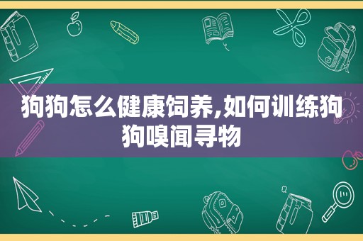 狗狗怎么健康饲养,如何训练狗狗嗅闻寻物