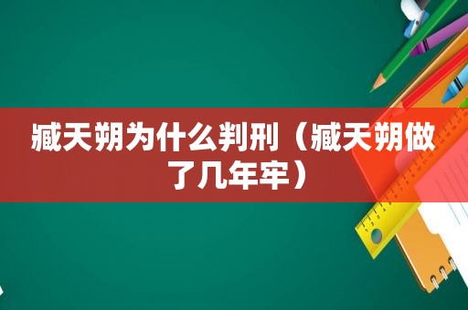 臧天朔为什么判刑（臧天朔做了几年牢）