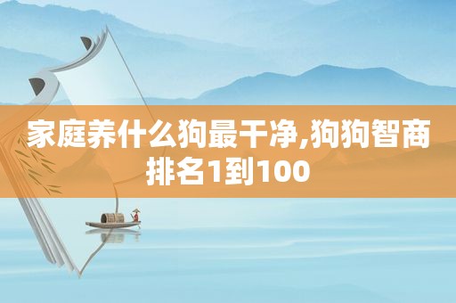 家庭养什么狗最干净,狗狗智商排名1到100