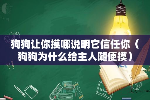 狗狗让你摸哪说明它信任你（狗狗为什么给主人随便摸）