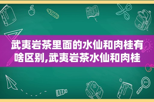 武夷岩茶里面的水仙和肉桂有啥区别,武夷岩茶水仙和肉桂