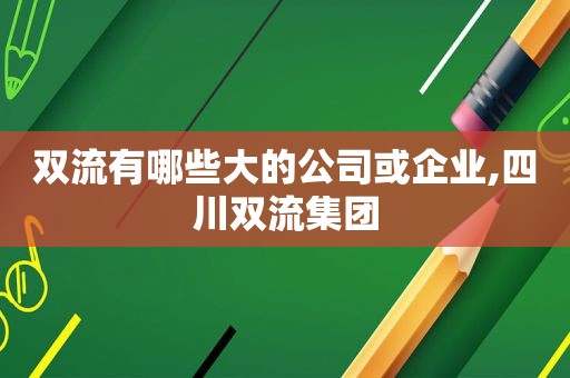 双流有哪些大的公司或企业,四川双流集团