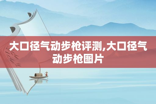 大口径气动步枪评测,大口径气动步枪图片