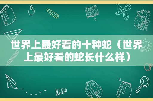 世界上最好看的十种蛇（世界上最好看的蛇长什么样）